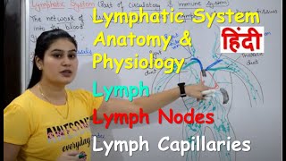 Lymphatic System in Hindi  Lymph  Lymph Nodes  Lymph Vessels  Anatomy amp Physiology [upl. by Ergener93]