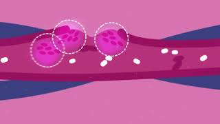 How COVID19 Affects Your Blood [upl. by Xila]