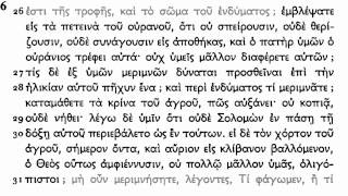 Koine Greek  Matthew 111 [upl. by Towill]