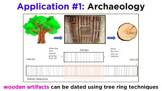 Applications of Dendrochronology [upl. by Yliab]