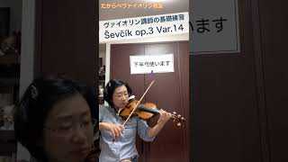 Ševčík Op3 Ver14 ヴァイオリン講師の基礎練習 quotBasic violin instructor exercisesquot sevcik etude [upl. by Christina]