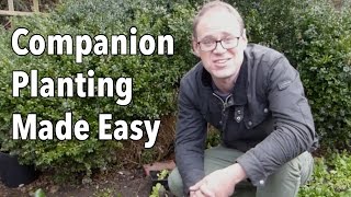 Companion Planting Made Easy [upl. by Karin72]