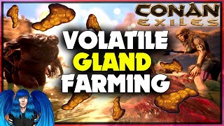 HOW TO GET LOTS OF VOLATILE GLANDS  Conan Exiles [upl. by Akienat175]