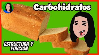 Carbohidratos  Biomoléculas  Macromolécula [upl. by Dlabihcra]