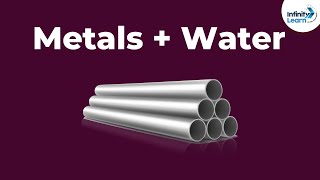 Metals and Nonmetals Chemical Properties  Part 2  Dont Memorise [upl. by Averyl]