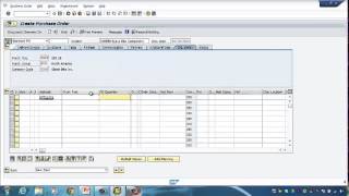 SAP ERP 02 Procurement Information Management Demo [upl. by Yra]