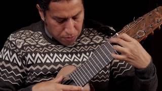 Federico Tarazona  El Condor Pasa  Hatun Charango [upl. by Wernher142]