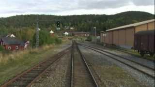 Cab Ride Norway  Trondheim  Bodø fall Nordland Line [upl. by Wurster]