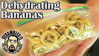 EXACTLY HOW TO DEHYDRATE BANANAS [upl. by Naomi219]