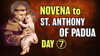 St Anthony of Padua Novena Day 7 [upl. by Akcinahs]