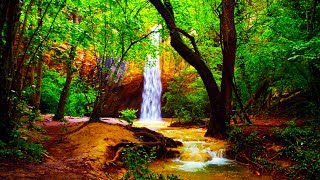 Relaxing Zen Music and Nature Sounds  Wooden Flute and Pan Flute  Meditation Sleep Sound [upl. by Annia276]