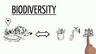 Biodiversity Explained [upl. by Ransom]