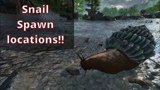 ARK Ascended The Island  Achatina Spawn Locations [upl. by Acinelav309]