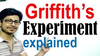 Griffiths experiment [upl. by Anoyi260]