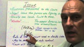 How to Brief a Case [upl. by Talley]