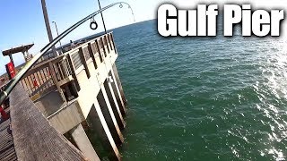 Pier Fishing for Beginners  Easy Fishing at the Gulf State Park Pier [upl. by Apfel]