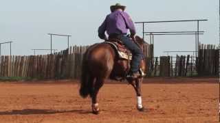 Reiner vs Cow Horse [upl. by Englebert]