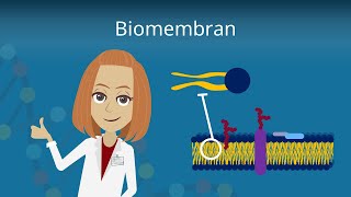 Biomembran  Aufbau und Funktion [upl. by Des]