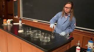 Reactivity of Alkali Metals with Water [upl. by Onailime]