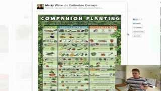 Companion Planting List Guide [upl. by Malaspina]