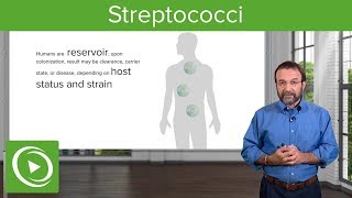 Streptococci – Microbiology  Lecturio [upl. by Nylhtac]