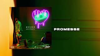 DADJU  Promesse Audio Officiel [upl. by Yelyab]