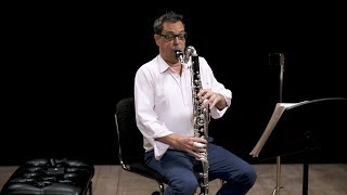 Instrument Bass Clarinet In Depth [upl. by Robi]