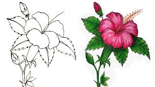 How to Draw a Hibiscus Flower Step by Step Very Easy [upl. by Aihcrop482]