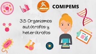 35 Organismos autótrofos y heterótrofos COMIPEMS [upl. by Orutra]