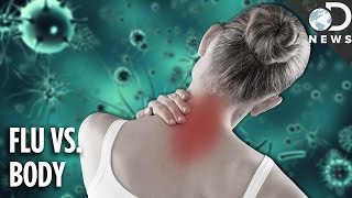 Why The Flu Causes Aches amp Pains [upl. by Eeslehc539]