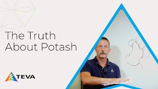 How Potash Affects Your Soil [upl. by Airdna]