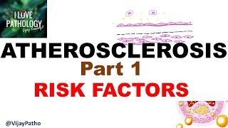 ATHEROSCLEROSIS part 1 Definition epidemiology amp Risk factors [upl. by Nitin]