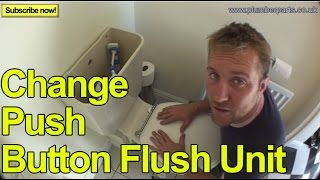 HOW TO CHANGE A PUSH BUTTON FLUSH UNIT  Plumbing Tips [upl. by Marston]