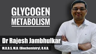 10 Glycogen metabolism Glycogenesis and Glycogenolysis [upl. by Honebein376]