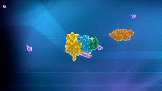 Ubiquitin Mediated Protein Degradation Explanation by Aaron Ciechanover [upl. by Ellennahc]