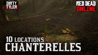 Chanterelle Locations Red Dead Online RDR2 Daily Challenges [upl. by Aelc714]