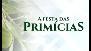 A Festa das Primícias [upl. by O'Hara]