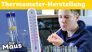 Thermometer  DieMaus  WDR [upl. by Tatianna]