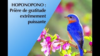 HoOponopono et Prière de gratitude extrêmement puissante de gratitude [upl. by Aiz]