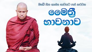 ඔබේ සිත ශාන්ත භාවයට පත් කරවන මෛත්‍රී භාවනාව  Maithree Bhawanawa [upl. by Sonnnie]