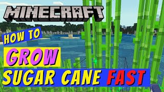 Minecraft How to Grow Sugar Cane Fast [upl. by Tiloine]