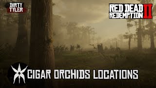 RDR2 All Cigar Orchid Locations Red Dead Redemption 2 [upl. by Gris]