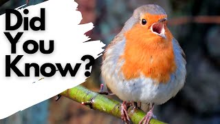 Things you need to know about ROBINS [upl. by Conte]