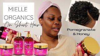 MIELLE ORGANICS ON MY SHORT HAIR  Pomegranate amp Honey  Shackeria Sharona [upl. by Volnak]