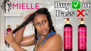 MIELLE ORGANICS POMEGRANATE AND HONEY 🍯 REVIEW  Type 4 Hair Wash Day [upl. by Meghan]