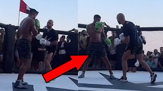 ANDREW TATE DESTROYS HSTIKKYTOKKY IN BOXING MATCH [upl. by Niels]