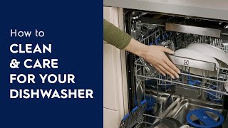 How to Clean amp Care For Your Dishwasher [upl. by Leon772]