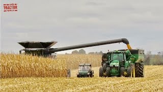 FENDT IDEAL 9T Combine Harvesting Corn [upl. by Airotnahs9]