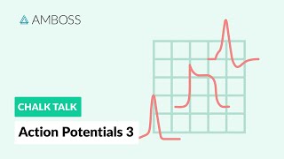 Action Potentials  Part 3 Skeletal Muscle Action Potential [upl. by Ayotahc]