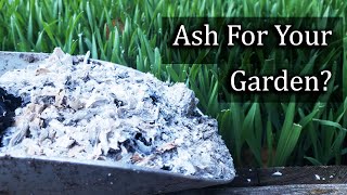 Ash For Your Garden  4 Ways To Apply It Properly [upl. by Yleme861]